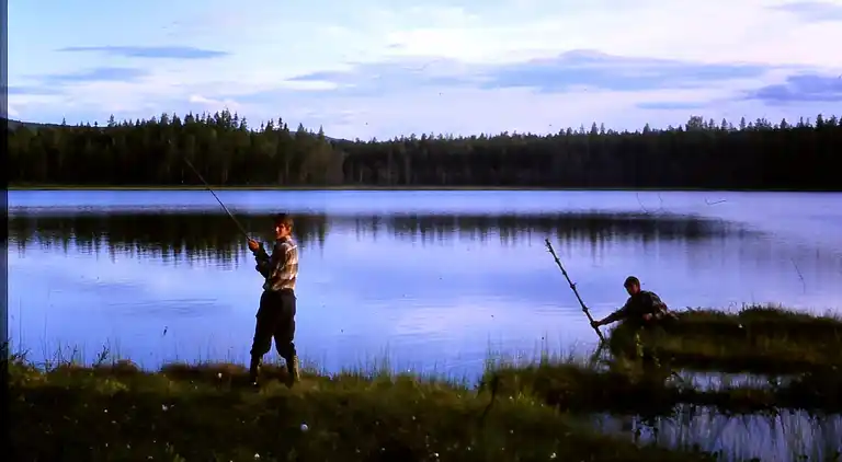 Holiday home in Letafors