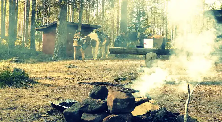 Holiday home in Letafors