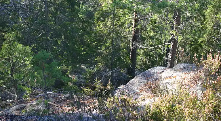 Feriebolig i Munkfors