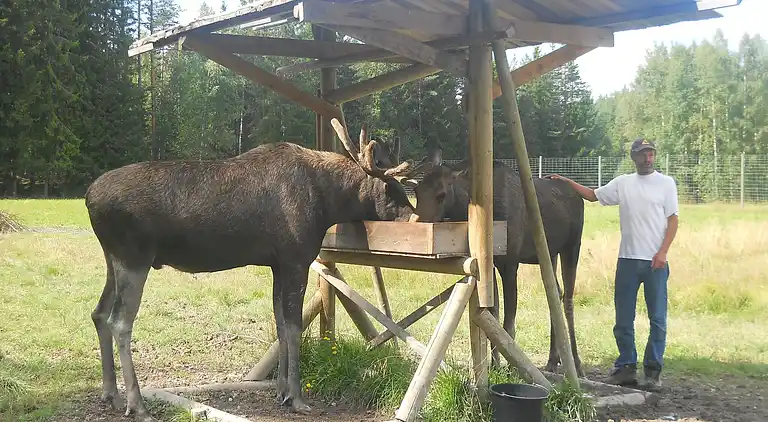 Feriebolig i Munkfors