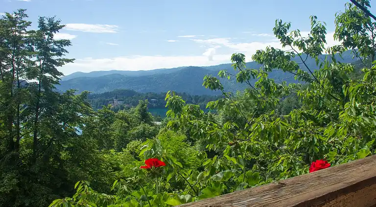 Vakantiehuis in Bled
