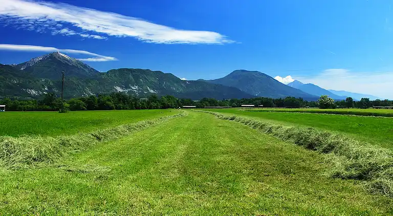 Vakantiehuis in Bled