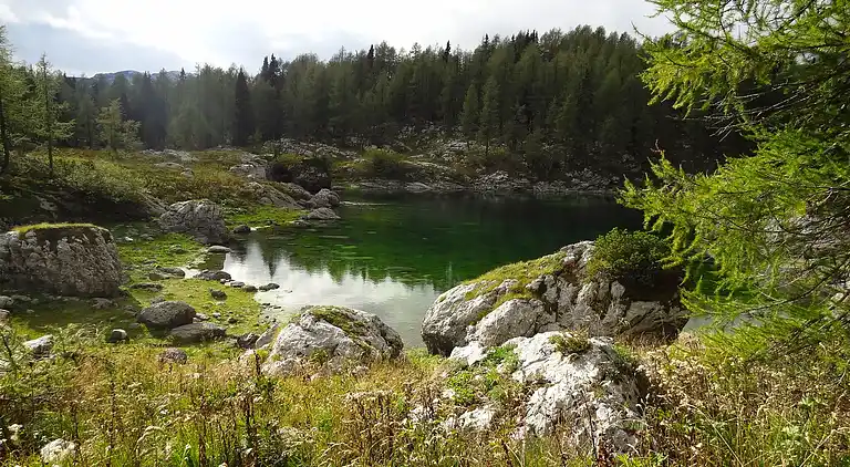 Vakantiehuis in Bled