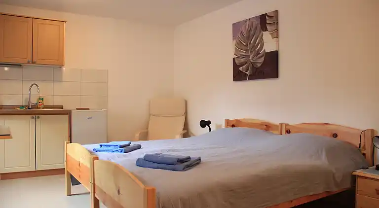 Apartment in Bohinjska Bistrica