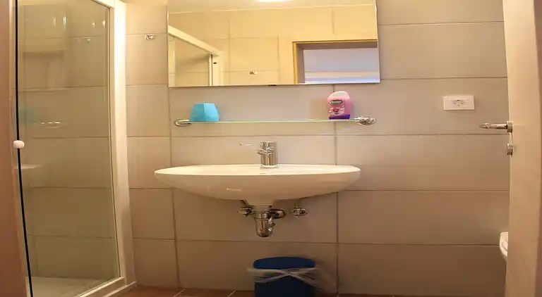 Apartment in Bohinjska Bistrica