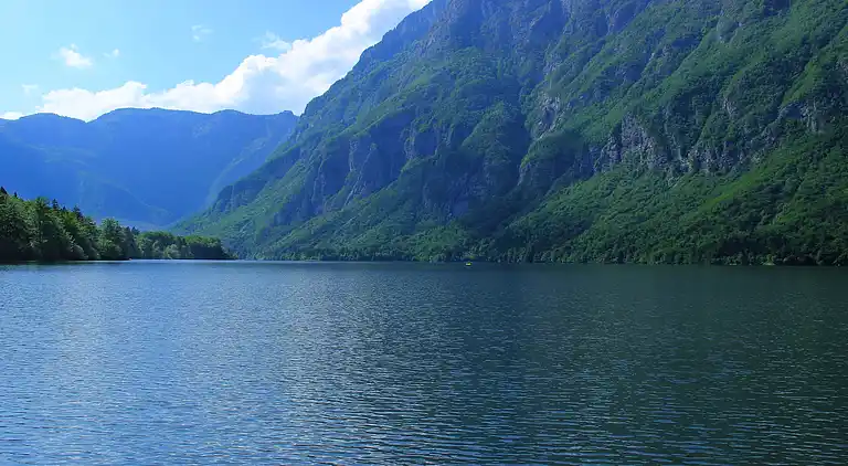 Apartment in Bohinjska Bistrica