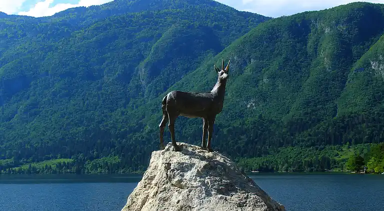 Ferielejlighed i Bohinjska Bistrica