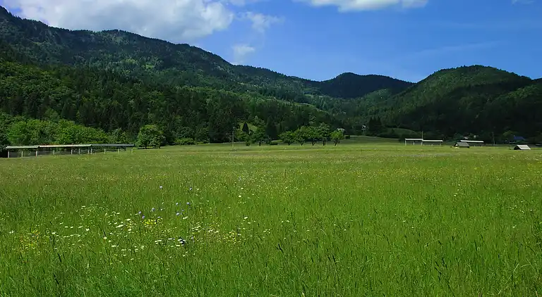 Ferielejlighed i Bohinjska Bistrica