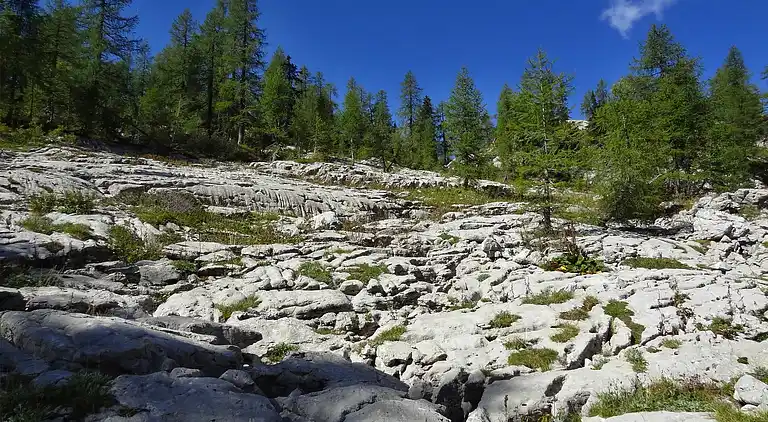 Ferielejlighed i Bohinjska Bistrica