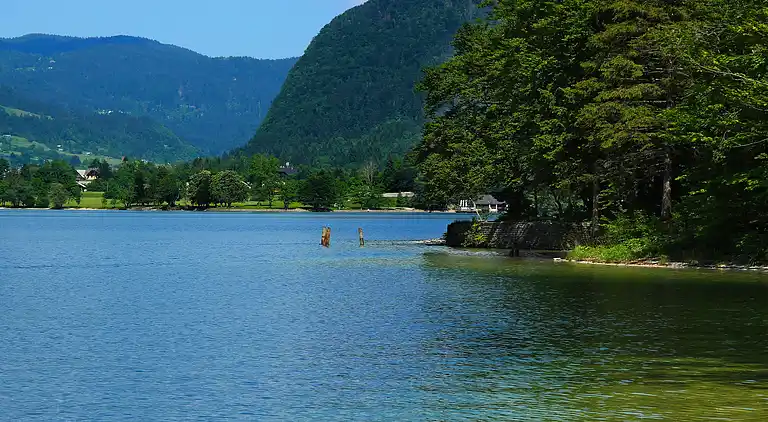 Appartement in Bohinjska Bistrica