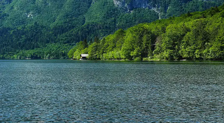 Appartement in Bohinjska Bistrica