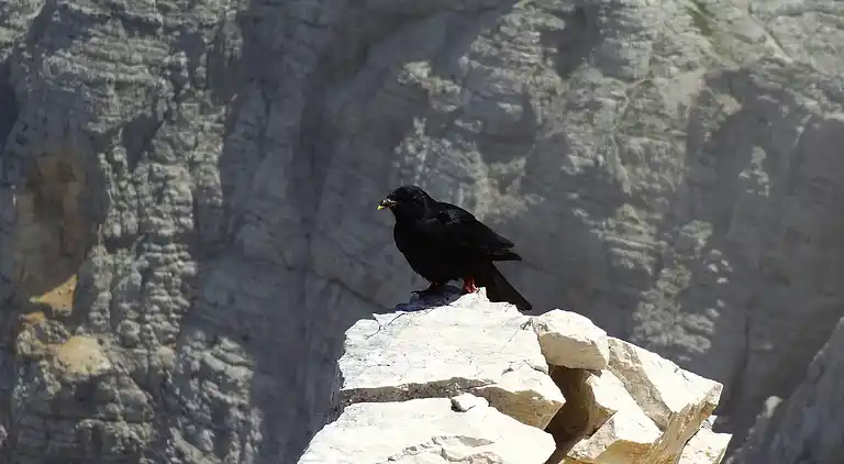 Appartement in Bohinjska Bistrica