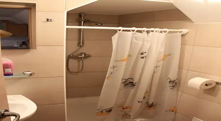 Apartment in Bohinjska Bistrica