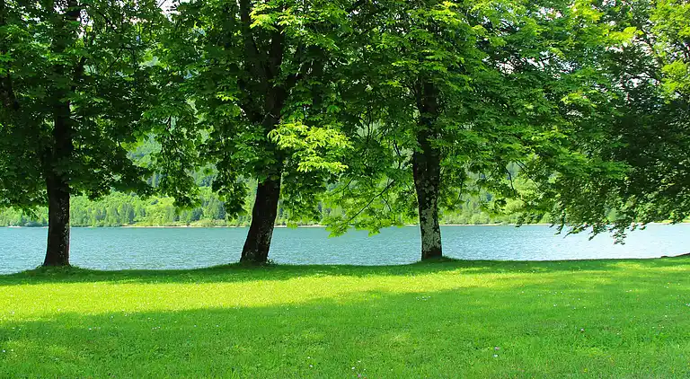 Apartment in Bohinjska Bistrica