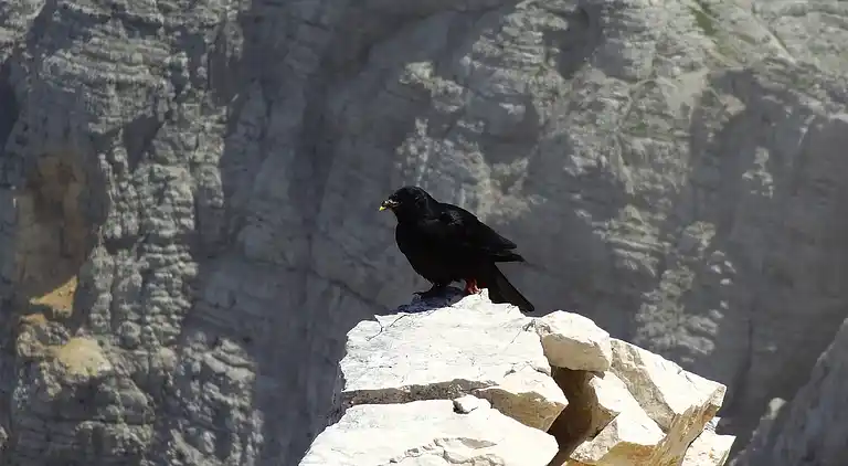 Apartment in Bohinjska Bistrica