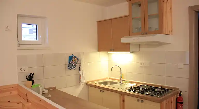 Apartment in Bohinjska Bistrica