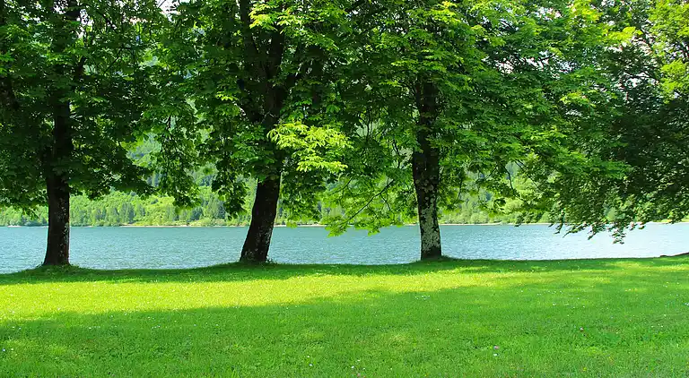 Apartment in Bohinjska Bistrica