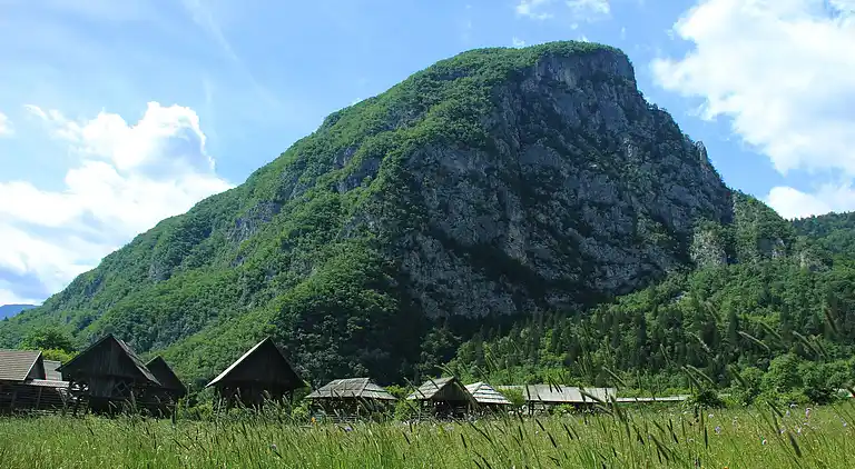 Apartment in Bohinjska Bistrica