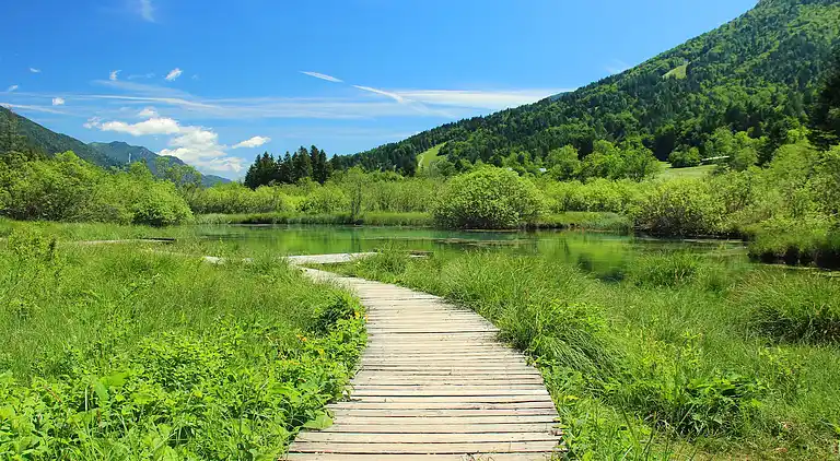 Maison de vacances au Gozd Martuljek