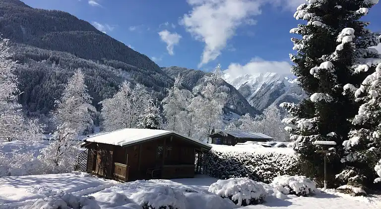 Apartment in Neukirchen am Großvenediger