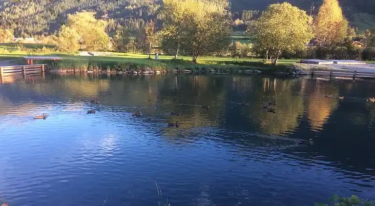 Apartment in Neukirchen am Großvenediger