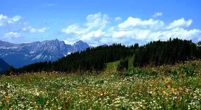 Apartment in Kitzbühel