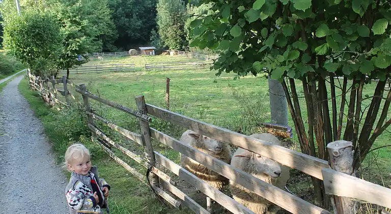 Sommerhus i Milíře