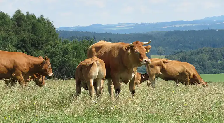 Holiday home in Milíře