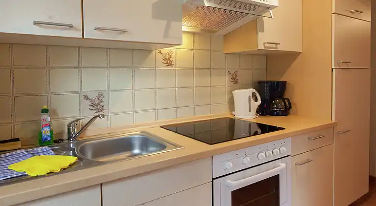 Ferielejlighed i Reinhardtsdorf