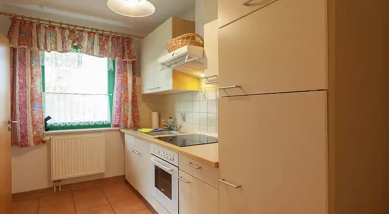 Ferielejlighed i Reinhardtsdorf