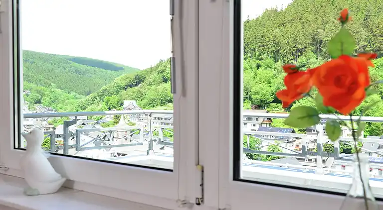 Ferielejlighed i Willingen (Upland)