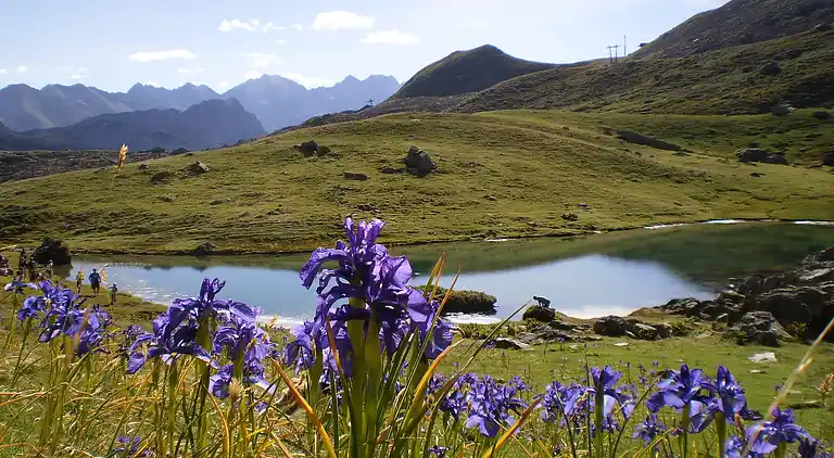 Hytte i Sallent de Gállego