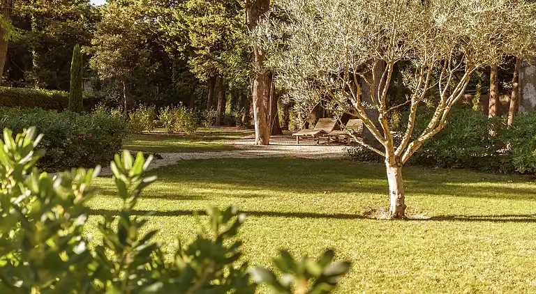 Castle in Jonquières
