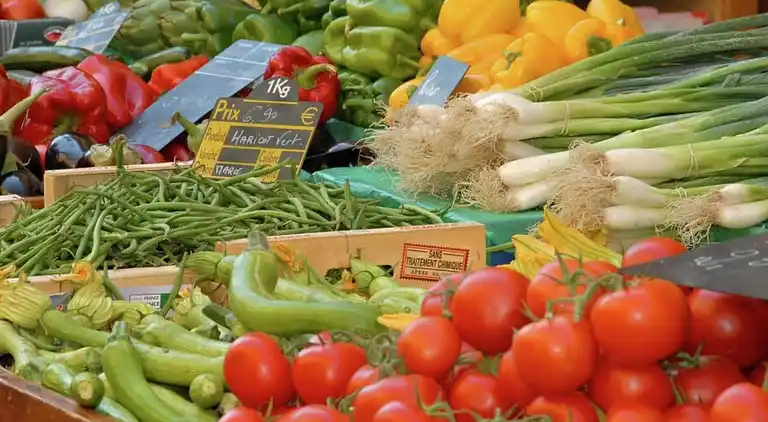 Sommerhus i Saint-Géry