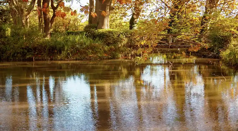 Castle in Jonquières