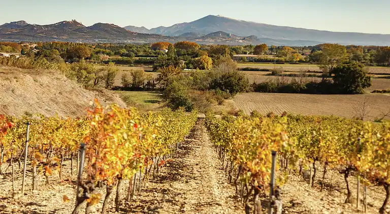 Castle in Jonquières