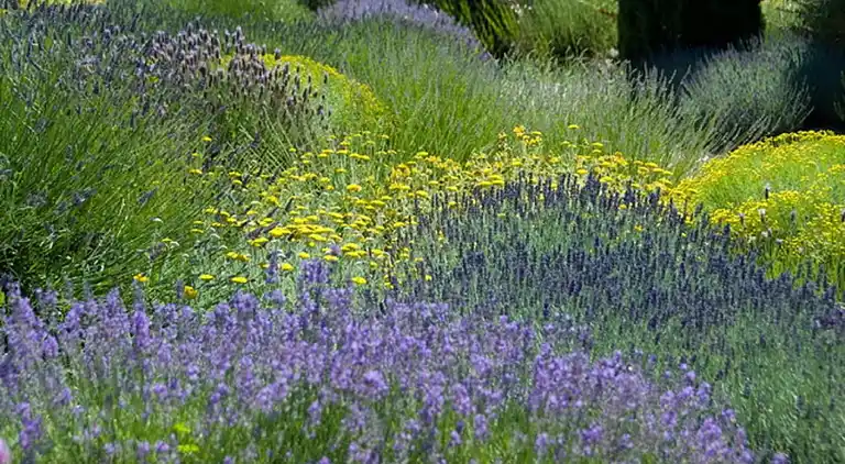 Holiday home in Bourdeaux
