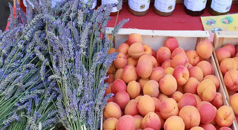 Holiday home in Bourdeaux