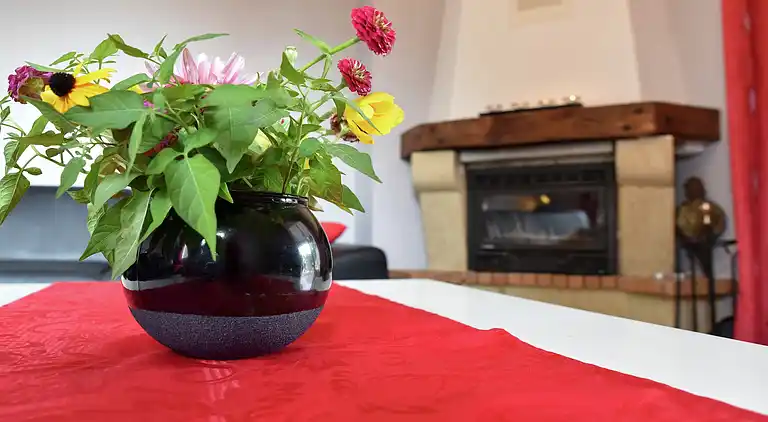 Sommerhus i Saint-Donat-sur-l'Herbasse