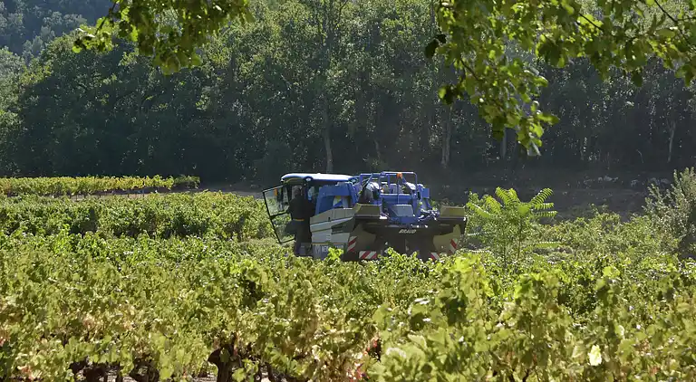 Villa in Languedoc-Roussillon
