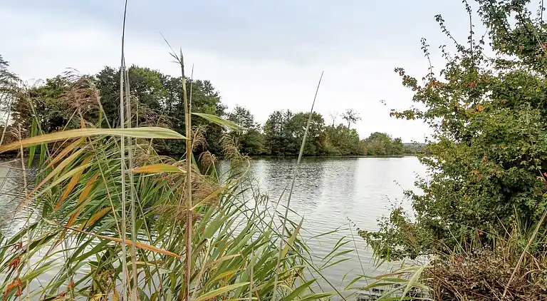 Sommerhus i Fretigney-et-Velloreille