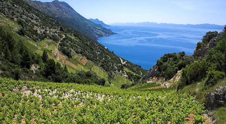 Ferielejlighed i Dubrovnik