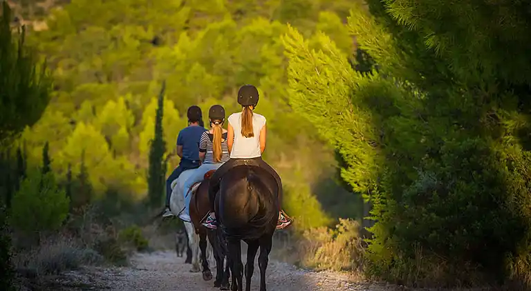 Ferielejlighed i Dubrovnik