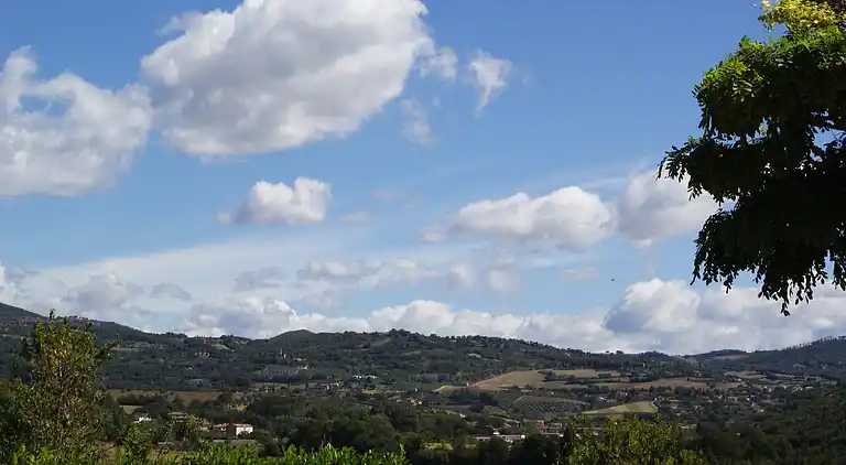 Holiday home in Mantignana