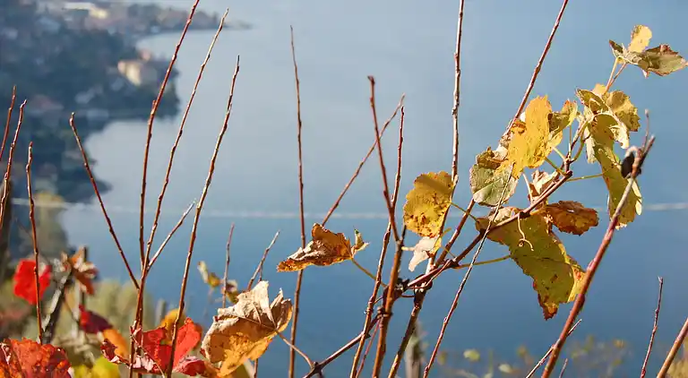 Holiday home in Bellano