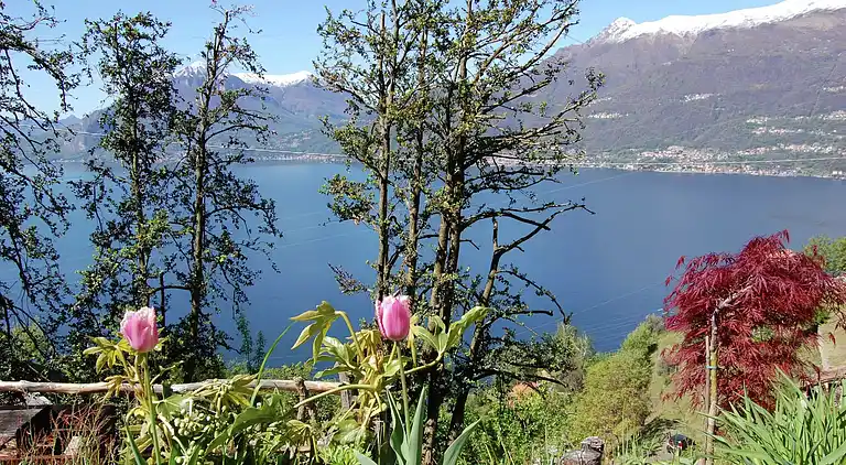 Holiday home in Bellano