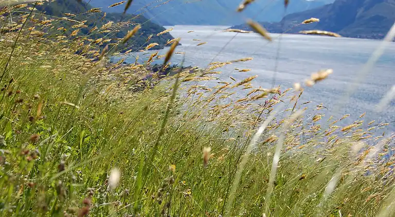 Holiday home in Bellano