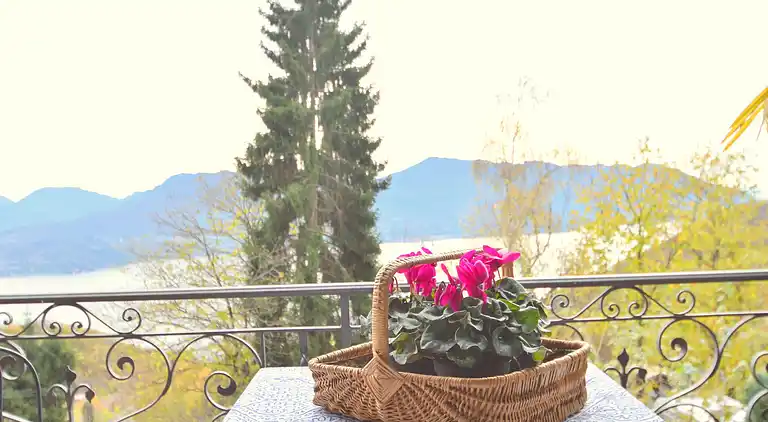 Ferielejlighed i Trarego