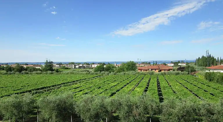 Sommerhus i Bardolino