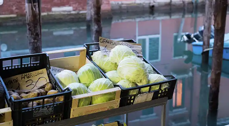 Holiday home in Ariano nel Polesine